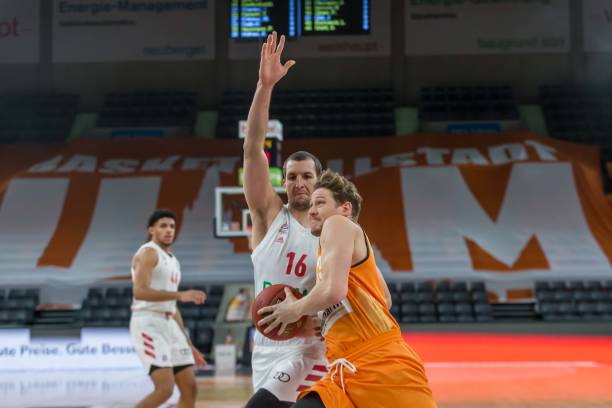 智慧的博弈 智慧的博弈